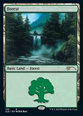 Floresta / Forest - Magic: The Gathering - MoxLand